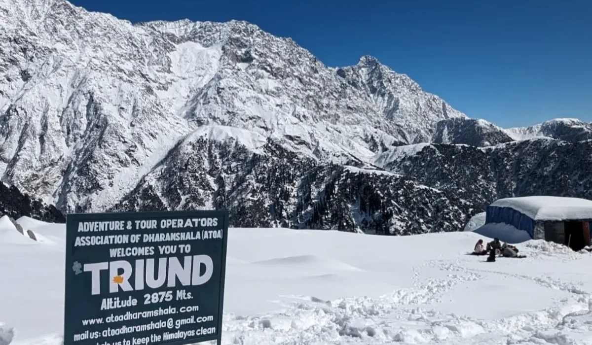 Triund_-_Trekyaari